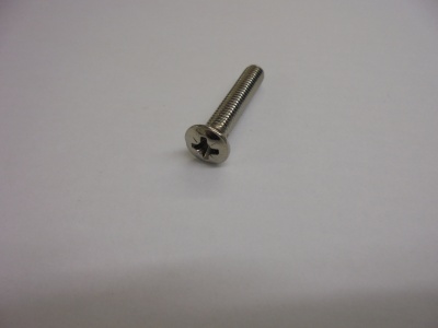 Number Plate Cover Screw MK1