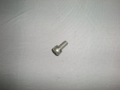 Fuel cap surround screw