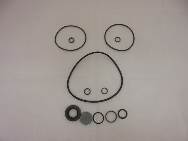 Seal kit for PAS pump Stag / 2500 etc.